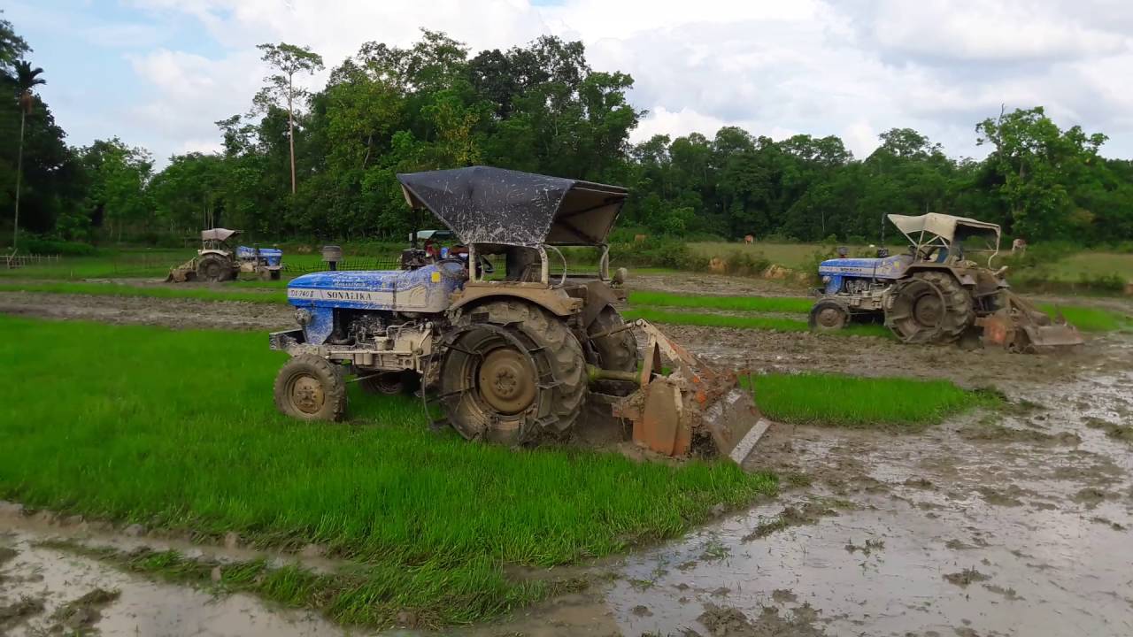 Sonalika Tractor .Golaghat(Assam) YouTube