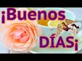 BUENOS DÍAS AMIGOS / FELIZ MARTE/ SALMOS 23