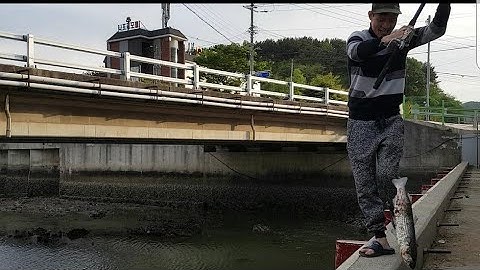 Đi câu cá biển ở Hàn Quốc