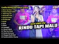 Cantika Davinca Full Album || Rindu Tapi Malu, Cantika Davinca Terbaru 2024 - AGENG MUSIC