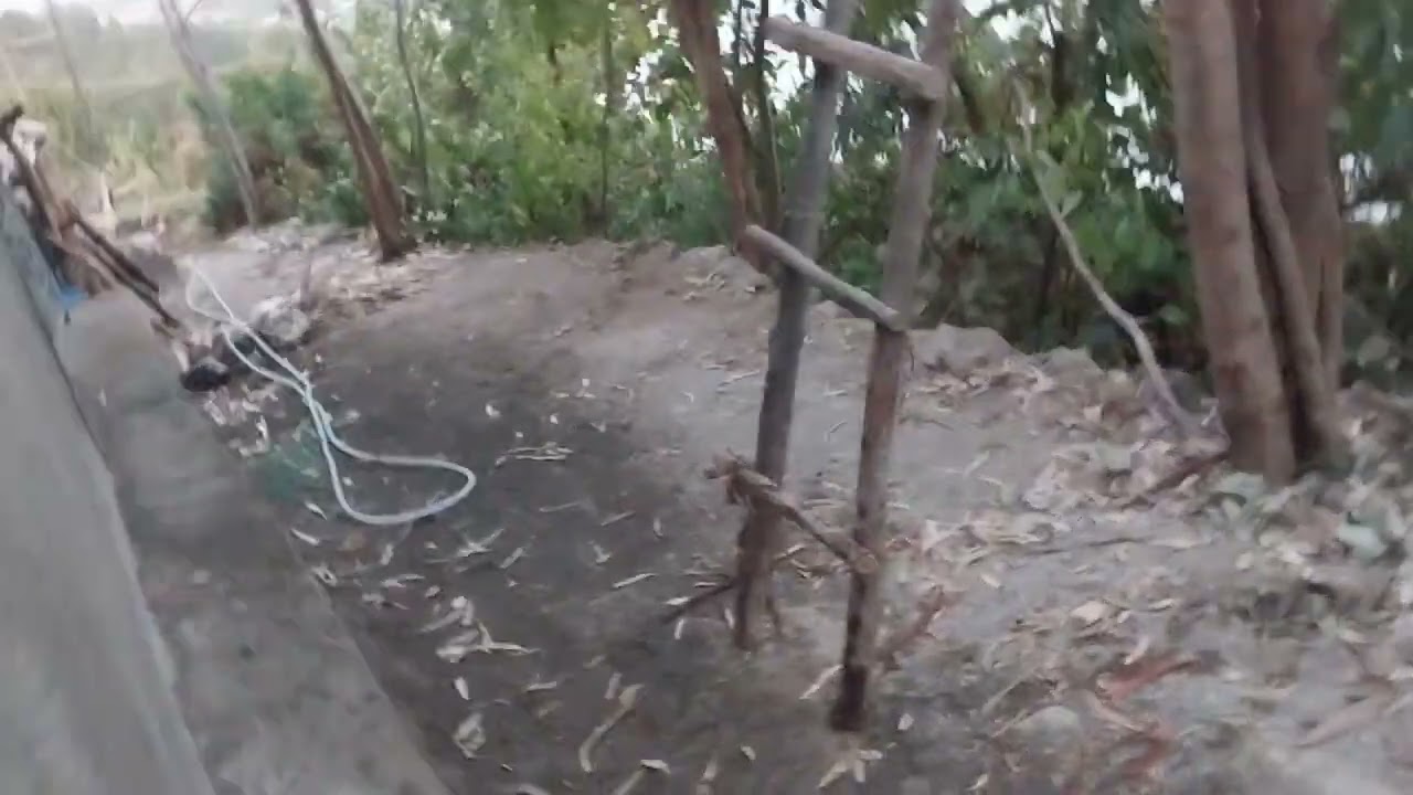  ቤታችን የመጨርሻ ተገርፎ አበቃ