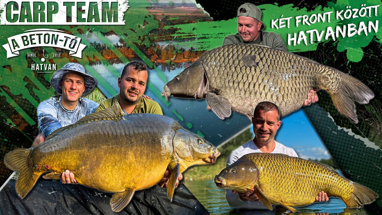 Rokolya Péter - Két front között Hatvanban