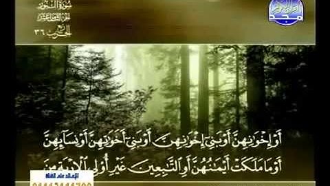 24 سورة النور - الشيخ خالد القحطاني