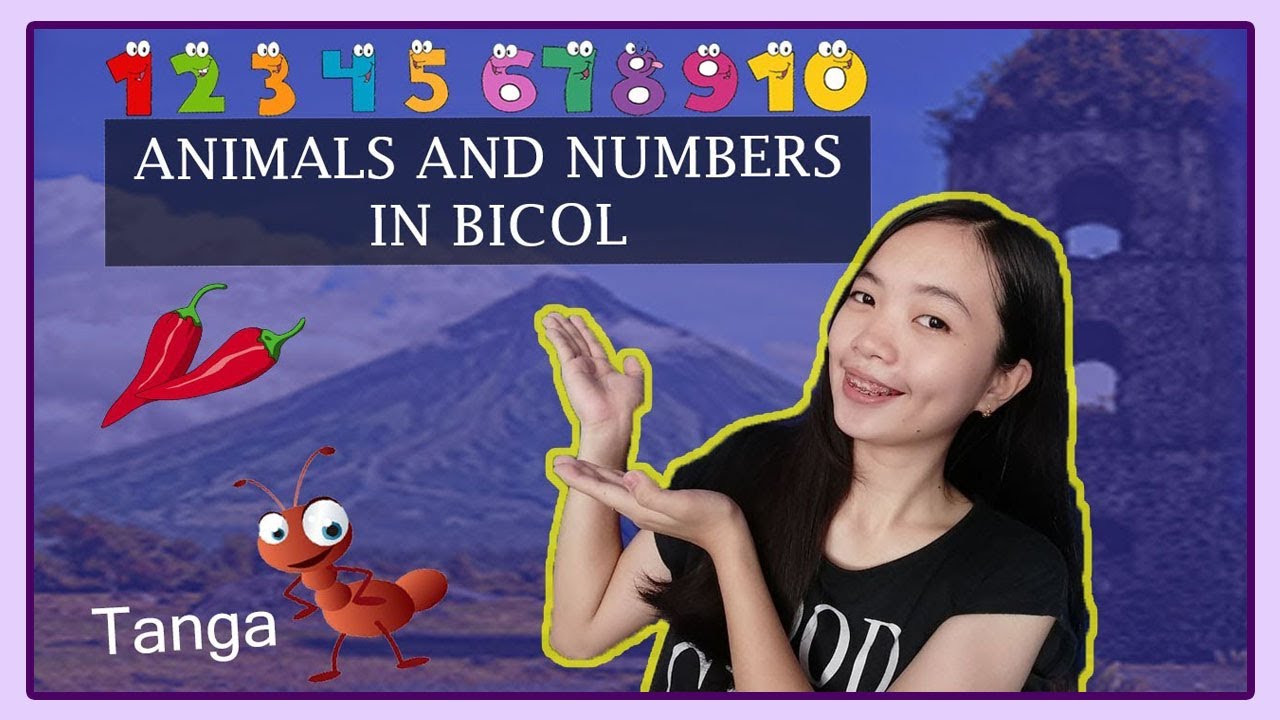 LEARN BICOL WORDS Numbers and Animals (Philippines) YouTube