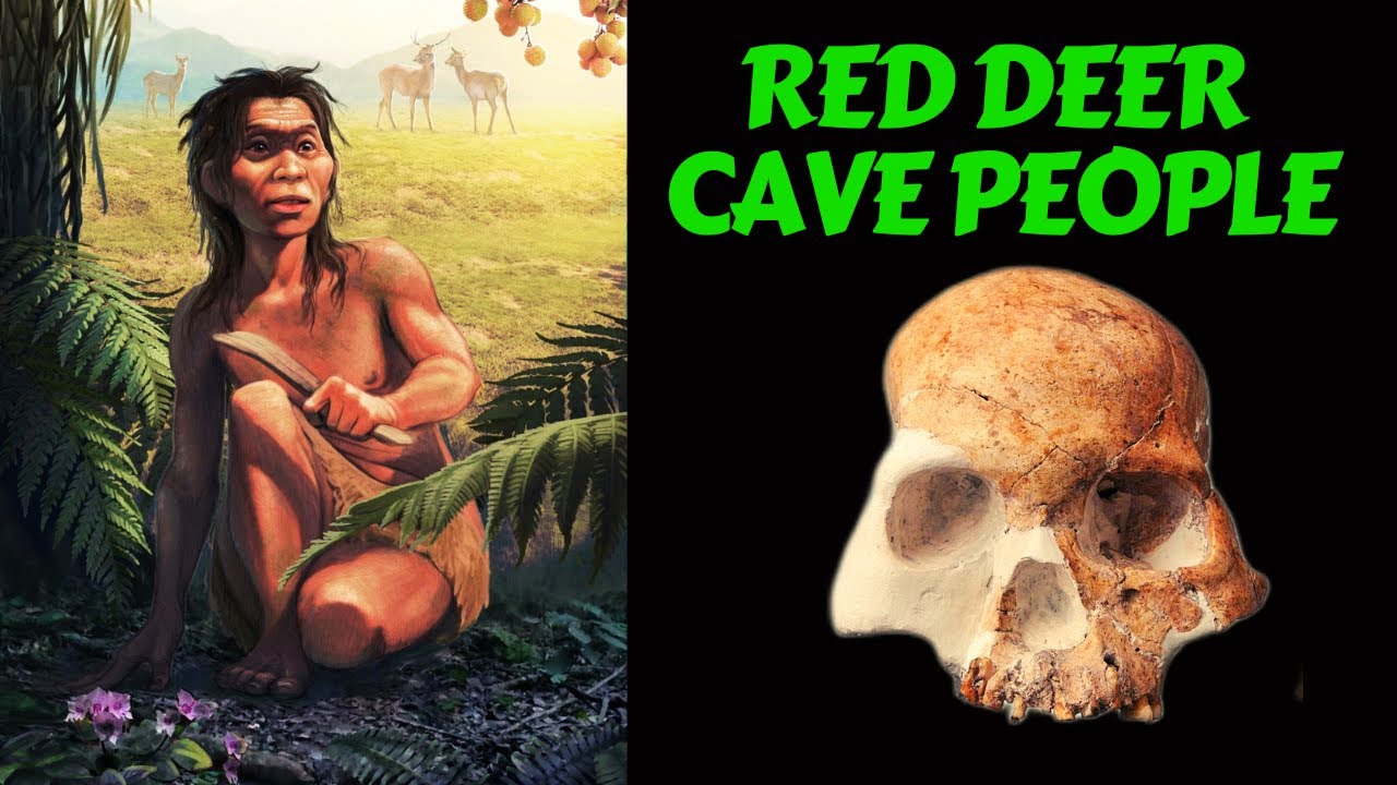 melodrama Hong Kong oprejst Red Deer Cave People Are Related to Native Americans and Denisovans -  YouTube