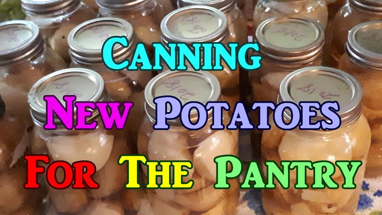 Potato Canning In Depth