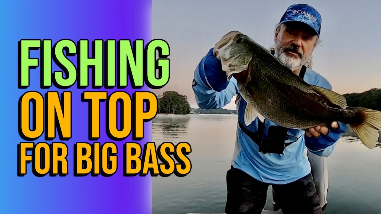 Fishing On Top For Big Bass #lakelanierfishing2023  #bassfishing