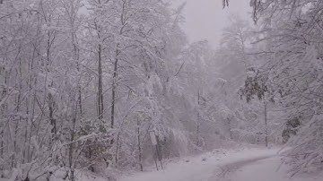 GoPro Native White Balance is just pure Bullshit