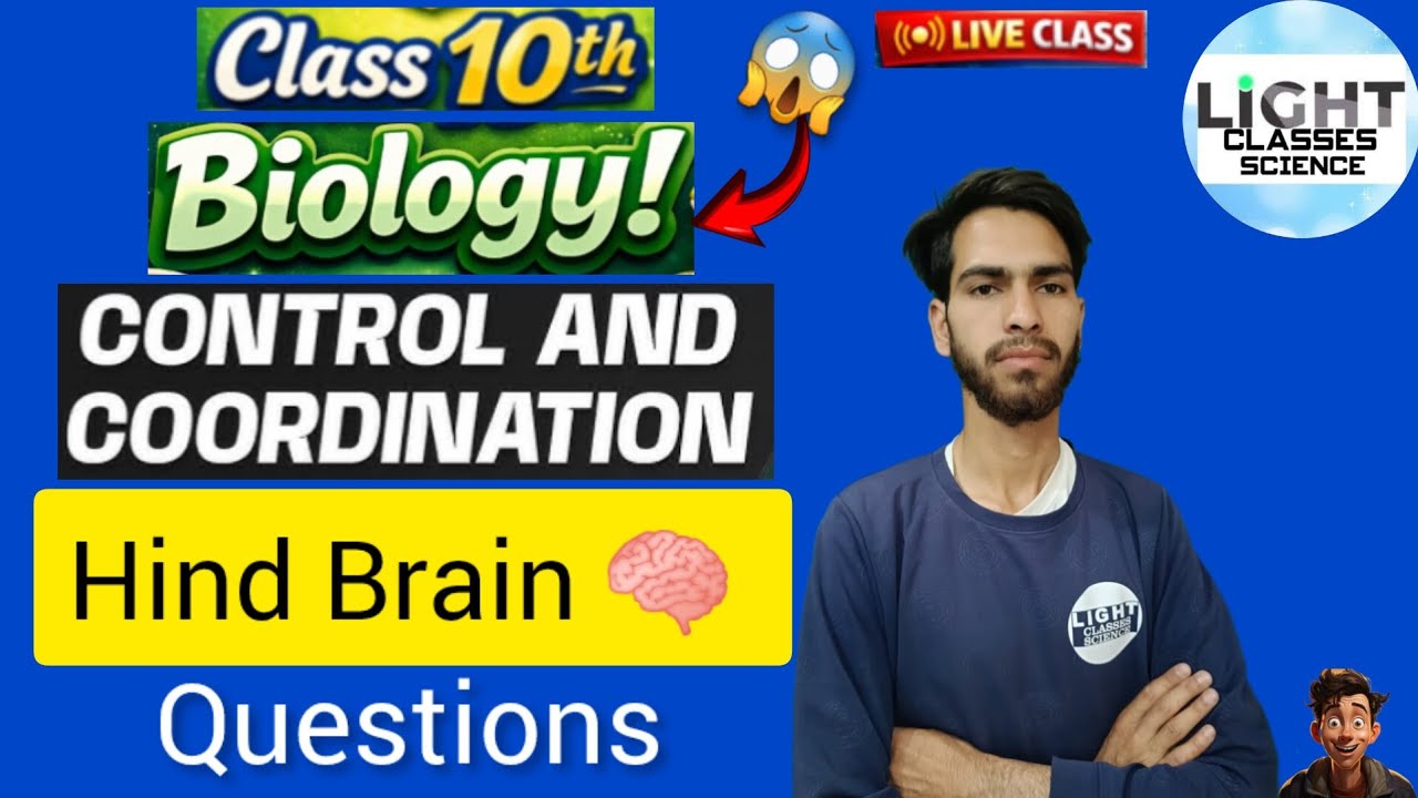 Hind Brain 🧠 || Cerebellum || Pons || Medulla Oblongata || CLASS 🔟th ...