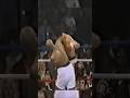 The Hard Hitting Puncher Of All Time #boxing #knockout #boxingexpert
