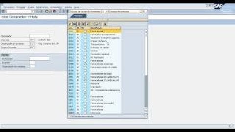 Class Preview: SAP MM - Cadastro de Fornecedores