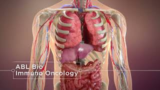 ABL Bio's Immuno-Oncology Platform: Grabody-T