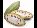 Raw Cacao Causes Mood Swings and is NOT a Health Food ...