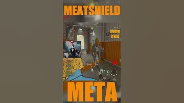 #shorts Meatshield is it META? You be the judge...