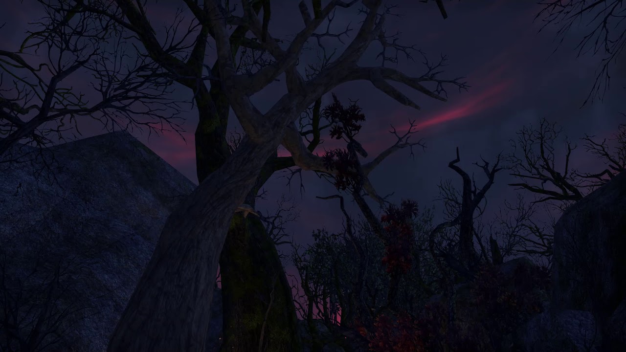 ESO - Exorcised Coven Cottage - The Witches Cottage