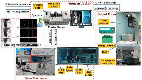 Multi-lateral Network Branching for Endovascular Tool Segmentation
