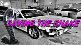 Worn out, roller 2001 Mustang Cobra gets a new lease on life //FULL REBUILD by Foxcast Media 4,123 views 2 months ago 9 minutes, 26 seconds