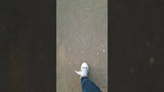 just a nice stroll on the park #penspinning #park #nature