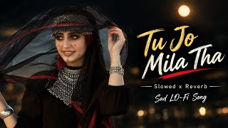 Tu Jo Mila Tha | Slowed x Reverb | Sad LO-Fi Song | Deep Emotional Hindi Song