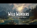 Wild Wonders | D&D/TTRPG Music | 1 Hour