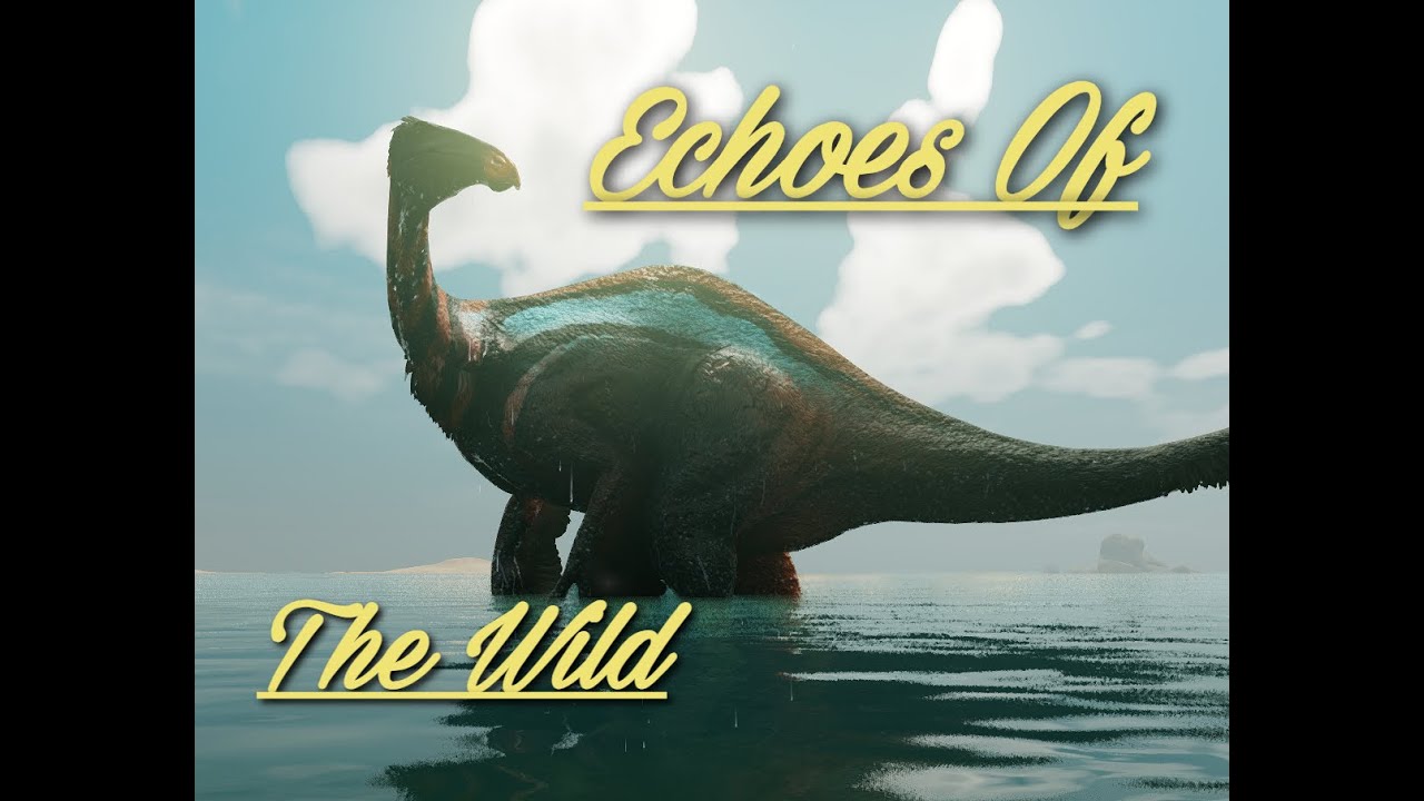 Echoes Of The Wild - YouTube