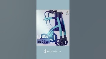 Have you seen the Rollz? A true all purpose mobility device.