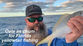 using oats for chum for Florida Keys Yellowtail