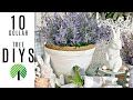 🌿10 DIYS EASTER SPRING DOLLAR TREE DECOR CRAFTS 🌿 "I Love Spring" ep 9 Olivias Romantic Home DIY