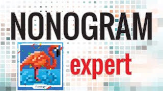 Nonogram expert 2