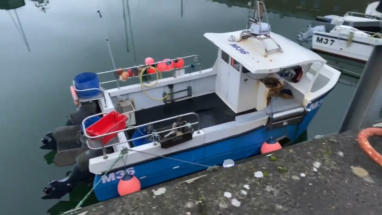 Milford haven marina walk