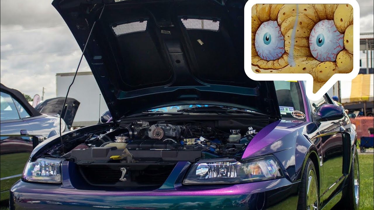 2004 Cobra SpongeBob Doesn’t Need It Cammed Exhaust Compilation