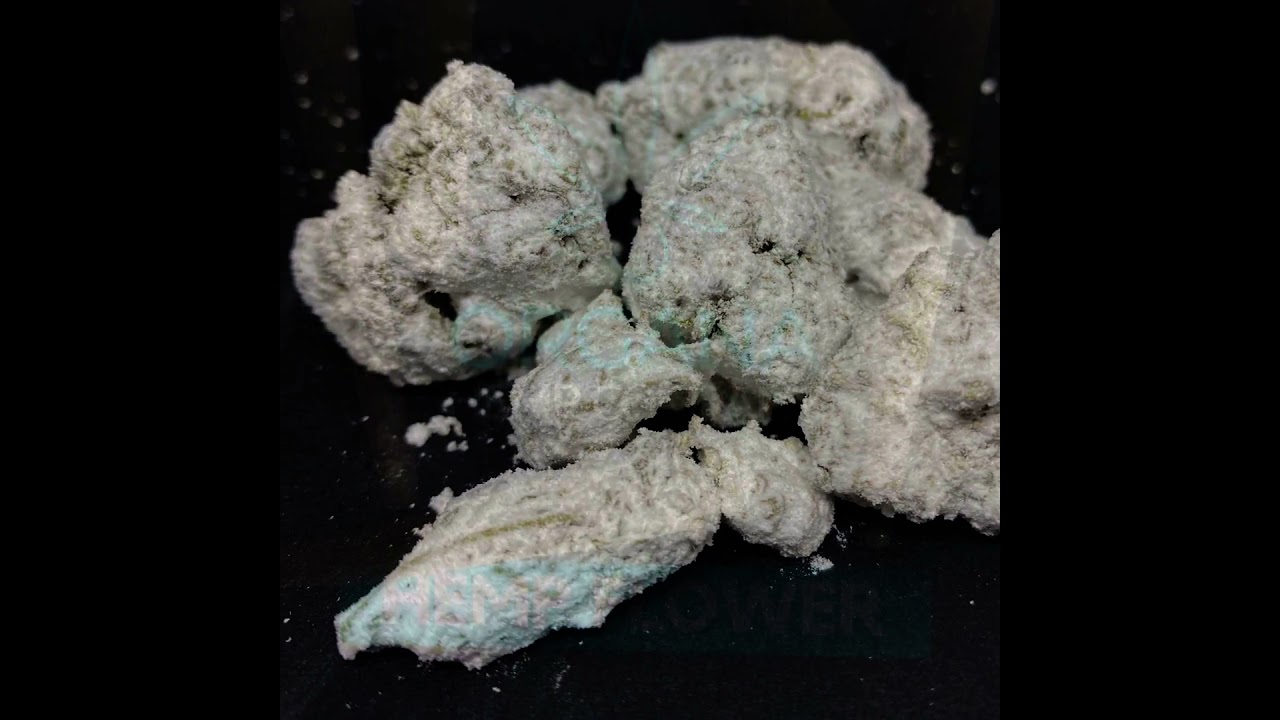 Organa Hemp Company | Quality Delta-8 Flower + CBD Hemp Products