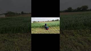 Stay Tuned                                        Httpswwwyoutubecomwatchvsyhsgbohe4u0026t0s