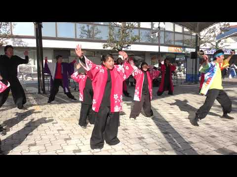 ピーマンサンバ隊（風となれ華となれ）  2017.12.10一祭合祭
