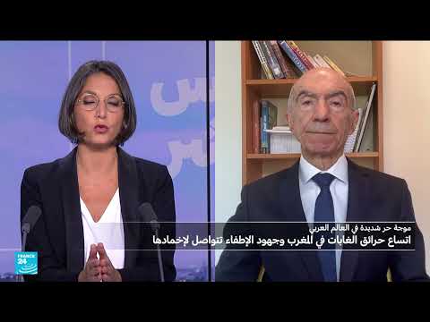 حرائق الغابات: أسباب تفاقمها وعلاقتها بتغير المناخ