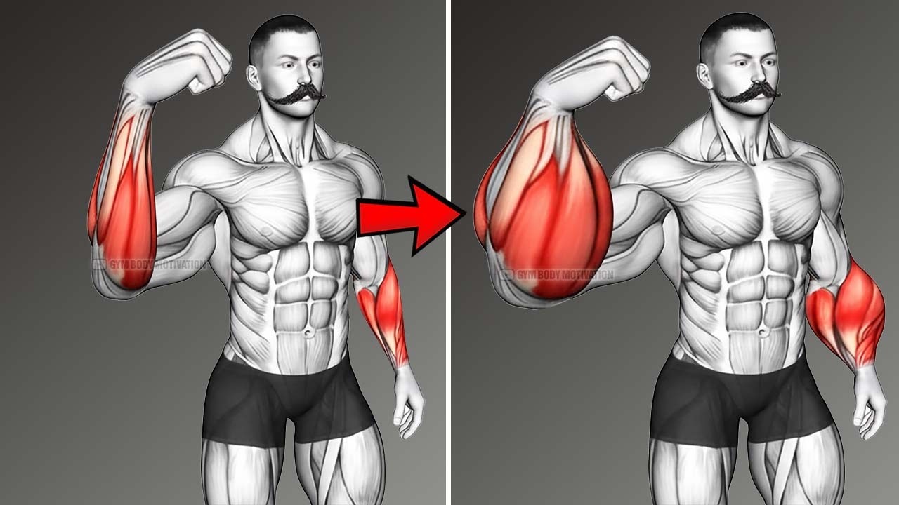 6 Forearm Exercises That Made My Arms Look INSANE (Grip & Size Exploded ...