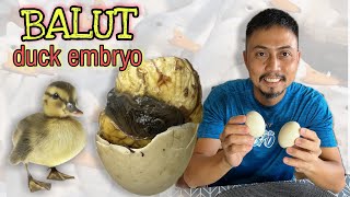 Eating Balut The Right Way