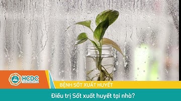 HCDC | ĐIỀU TRỊ SỐT XUẤT HUYẾT TẠI NHÀ