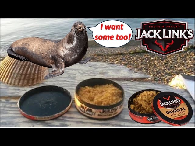 Jack Link's Original Jerky Chew (Shredded Beef Jerky) Review