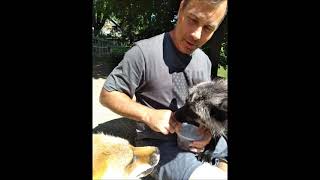 SaveAFox Visit
