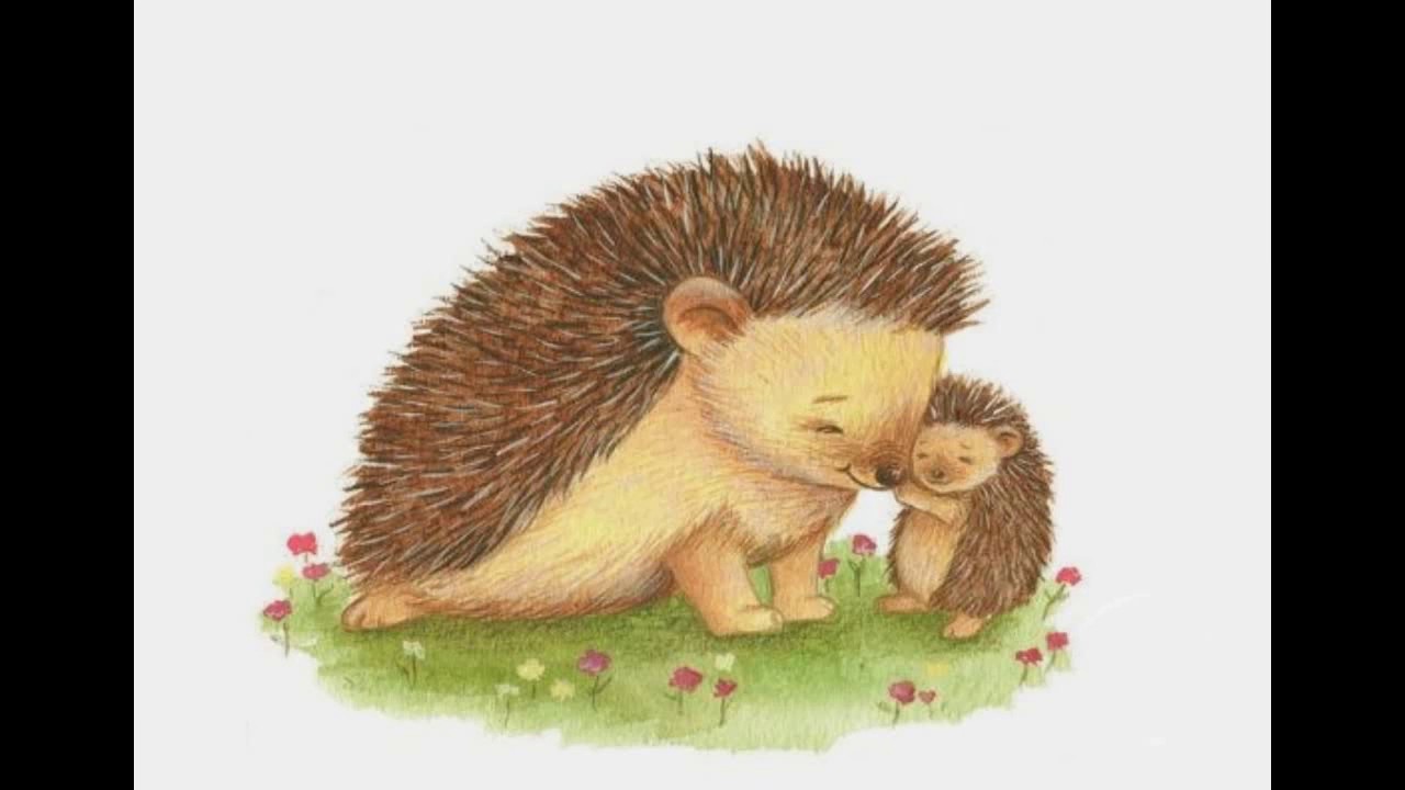 Ariciul - Povesti pentru copii - Despre casa si iubire