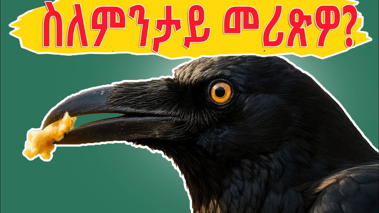 🔴ስለምንታይ'ዩ እዚ ርኹስ እንስሳ ተመሪጹ? #eritreancomedy #eritreanfilm #history #bible #historyfacts