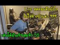 แป๊ะ Syndrome - Live สดตอนดึกยังไงไม่ให้ข้างบ้านด่า Behringer Microamp HA400