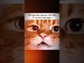Yeah!!! Not reading all that #funny #memes #fipシviral #funnyvideos #laughing