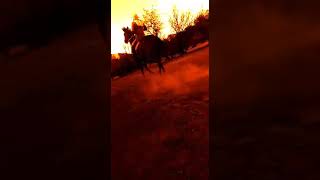 Cartoncito catamarca tinogasta