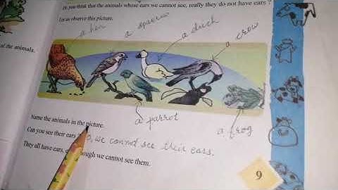 Standard IV /Environment /Looking Around /NCERT