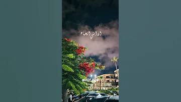 البس سماعاتك وعيش شرنوبي انتي الحياه Sharnouby ستوري حب حالات Status Music حالات واتس 8d 