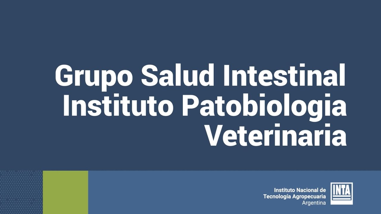 Grupo de salud intestinal del Instituto de Patobiología Veterinaria.