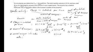 Finding the turnover number of an enzyme