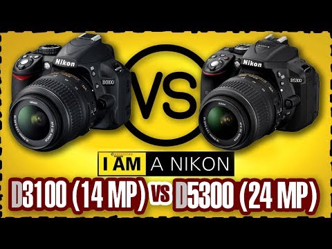 Video: Skillnaden Mellan Nikon D3100 Och D5000